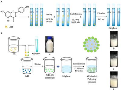 Storage stability and in vitro digestion of apigenin encapsulated in Pickering emulsions stabilized by whey protein isolate–chitosan complexes